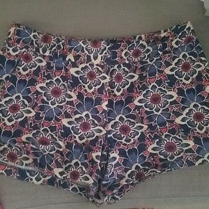Ann Taylor Loft Shorts